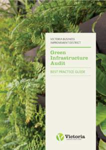 VICTORIA BUSINESS IMPROVEMENT DISTRICT Green Infrastructure Audit