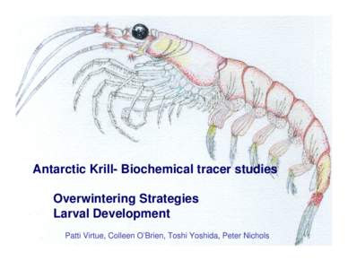 Antarctic Krill- Biochemical tracer studies Overwintering Strategies Larval Development Patti Virtue, Colleen O’Brien, Toshi Yoshida, Peter Nichols  Antarctic krill -Euphausia superba