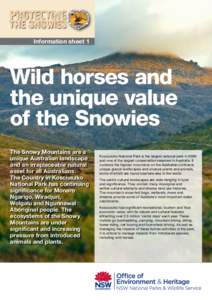 Information sheet 1  Wild horses and the unique value of the Snowies The Snowy Mountains are a