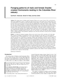 541  Foraging patterns of male and female Doublecrested Cormorants nesting in the Columbia River estuary Cynthia D. Anderson, Daniel D. Roby, and Ken Collis