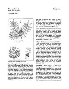 Spices / Sumac / Rhus copallina / Anacardiaceae / Clonal colony / Medicinal plants / Rhus glabra / Rhus trilobata / Flora of the United States / Biology / Botany