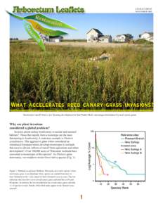 Arboretum Leaflets  LEAFLET[removed]NOVEMBER[removed]What accelerates reed canary grass invasions?