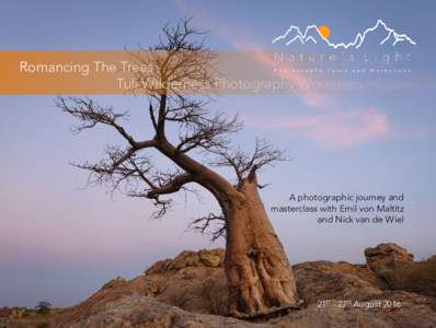 Romancing The Trees 					Tuli Wilderness Photography Workshop  A photographic journey and masterclass with Emil von Maltitz and Nick van de Wiel