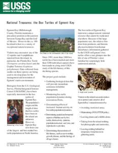 National Treasures: the Box Turtles of Egmont Key Egmont Key (Hillsborough County, Florida) maintains a precarious position at the junction between Tampa Bay and the Gulf of Mexico. However the ca. 180ha island is host t