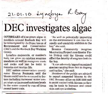 DEC ihvestigates algae OUTBREAKS of blue green algae in mudflats around Roebuck Bay be