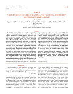 3045  The Journal of Experimental Biology 203, 3045–[removed])