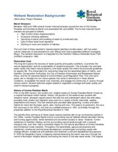 Wetland Restoration Backgrounder (More about Project Paradise) Marsh Stressors Between 1820 and 1990 several human-induced stresses caused the loss of the Cootes Paradise and Grindstone Marsh and associated fish and wild