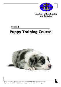 Academy of Dog Training and Behaviour Course 3  Puppy Training Course