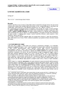 Convegno di Studio: “Le biomasse agricole e forestali nello scenario energetico nazionale” Progetto Fuoco 2004, Verona[removed]marzo 2004)