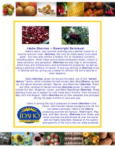 Idaho Cherries — Downright Delicious! Idaho’s warm, lazy summer evenings are a perfect match for a favorite summer treat: cherries. Not only do these sweet fruits taste great, but they also contain a healthy mix of n