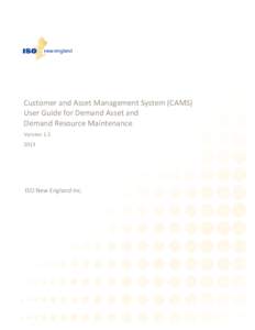 CAMS User Guide for Demand Asset and Demand Resource Maintenance