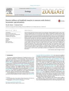 Zoology–247  Contents lists available at ScienceDirect Zoology journal homepage: www.elsevier.com/locate/zool