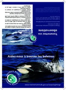 www.marinemammals.gov.au/sorp/sightings © Kylie Owen/AAD Coloured background  Aidez-nous à trouver les baleines