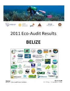 2011 Eco-Audit Results: Belize  1a Healthy Reef Initiative Collection Sheet Eco-Audit[removed]Belize Indicator: