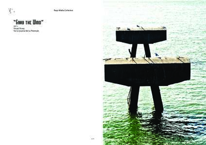 Raqs Media Collective  “Grab the Wind” 2011, Visual Essay, for Le Journal de La Triennale.