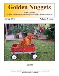 Golden Nuggets www.egrr.net Official Publication of the Evergreen Golden Retriever Rescue SpringVolume 7, Issue 1