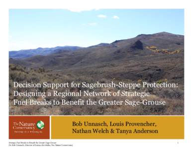 Decision Support for Sagebrush-Steppe Protection: Designing a Regional Network of Strategic Fuel Breaks to Benefit the Greater Sage-Grouse © Mark Godfrey  Bob Unnasch, Louis Provencher,