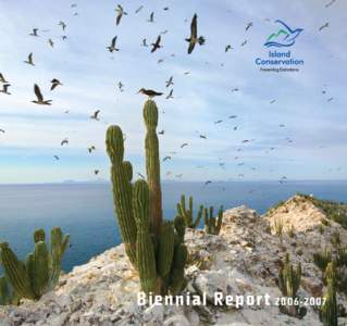 Bi enni al Report  Blue-footed Booby, San Pedro Martir (above) Palmyra Atoll (right)  2