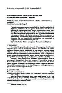 Plumularia mooreana, a new marine hydroid from French Polynesia (Hydrozoa, Cnidaria)