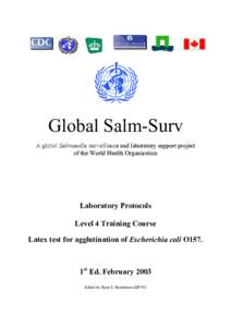 Global Salm-Surv A global Salmonella surveillanc surveillancee and laboratory support project ooff the World Health Organization  Laboratory Protocols