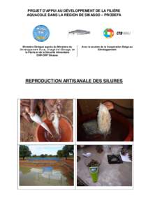 Reproduction artisanale des silures