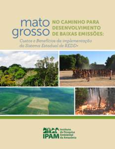 mato grosso no Caminho para Desenvolvimento de Baixas Emissões: