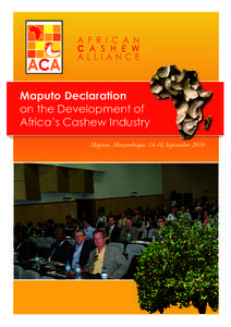 Maputo Declaration on the Development of Africa’s Cashew Industry Maputo, Mozambique, 14-16 September 2010  MAPUTO DECLARATION