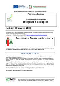 DIREZIONE GENERALE AGRICOLTURA, ECONOMIA ITTICA, ATTIVITÀ FAUNISTICO-VENATORIE  PROVINCIA DI RAVENNA Bollettino di Produzione