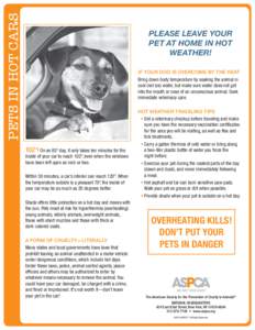 Pets in Hot Cars  Please leave your pet at home in hot weather! If your dog is overcome by the heat