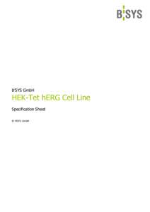 B’SYS GmbH  HEK-Tet hERG Cell Line Specification Sheet © B’SYS GmbH