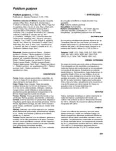 Psidium guajava Psidium guajava L[removed]). — MYRTACEAE —  Publicado en: Species Plantarum 1: [removed].