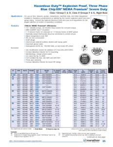 Hazardous Duty™ Explosion Proof, Three Phase Blue Chip XRI® NEMA Premium® Severe Duty Class I Group C & D, Class II Groups F & G, Rigid Base Applications: For use on fans, blowers, pumps, compressors, machine tools, 