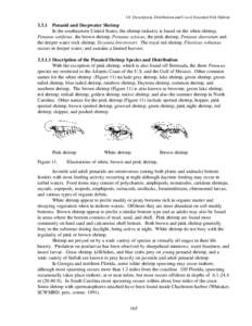 3.0 Description, Distribution and Use of Essential Fish Habitat[removed]Penaeid and Deepwater Shrimp In the southeastern United States, the shrimp industry is based on the white shrimp,