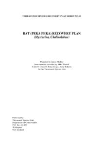 Bat (Peka Peka) Recovery Plan