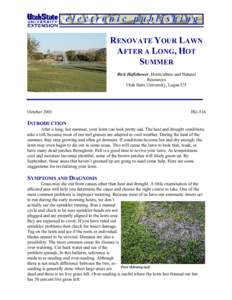 Grasslands / Pooideae / Lawn / Sod / Festuca arundinacea / Brown patch / Festuca / Poaceae / Grass / Landscape / Commelinids / Lawn care