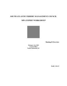 SOUTH ATLANTIC FISHERY MANAGEMENT COUNCIL MPA EXPERT WORKGROUP Meeting II Overview February 4-6, 2013 Crowne Plaza