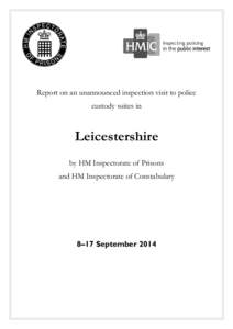 Government / Custody suite / Independent custody visitor / Inspectorate / Prison / Custody officer / Law enforcement / Law enforcement in the United Kingdom / Police stations