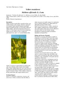 Agriculture / Medicinal plants / Forage / Livestock / Melilotus officinalis / M. officinalis / Melilotus / Alfalfa / Legume / Botany / Faboideae / Biology