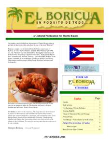 A Cultural Publication for Puerto Ricans Our readers, most of which are descendants of Puerto Ricans trying to get back to their roots, often ask about the use of the term “Boricua.” Boricua is simply a word derived 
