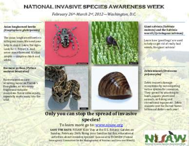 NATIONAL INVASIVE SPECIES AWARENESS WEEK February 26th-March 2nd, 2012—Washington, D.C. Giant salvinia (Salvinia molesta) and the Salvinia weevil (Cyrtobagous salvinae)