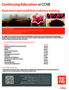 Continuing Education at CCNB Peat moss and small fruit industry training Would you like to... Increase your productivity and have a workforce with skills adapted to your needs? Increase the efficiency of your staff and w