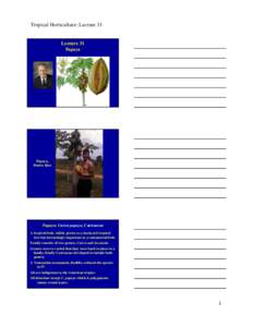 Medicinal plants / Plant morphology / Plant sexuality / Carica papaya / Flora / Botany / Biota