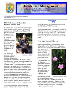 Success Stories newsletter