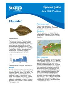 Seafish Species Guide - Flounder 2012