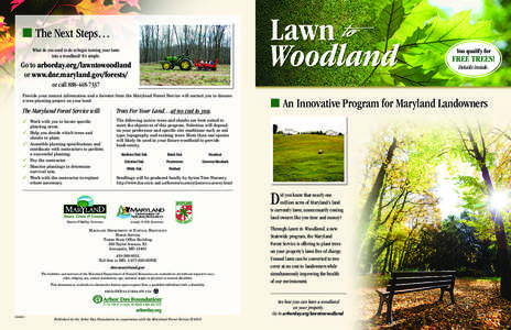 n The Next Steps… What do you need to do to begin turning your lawn into a woodland? It’s simple. You qualify for