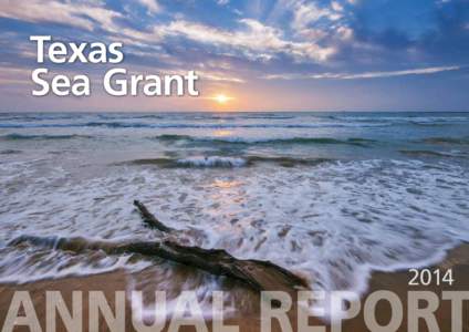 Texas Sea Grant 2014  From the Director