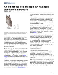 An extinct species of scops owl has been discovered in Madeira