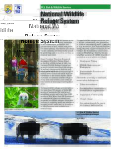 U.S. Fish & Wildlife Service  National Wildlife Refuge System Overview The U.S. Fish and Wildlife Service is the
