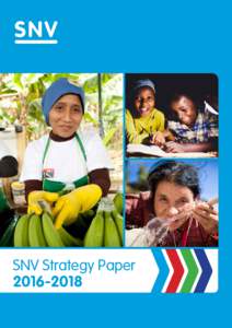 SNV Strategy PaperSNV Strategy Paper
