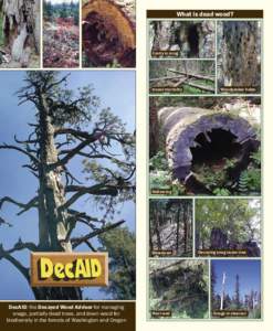 What is dead wood?  Cavity in snag Insect mortality